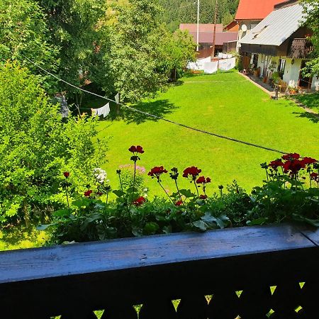 Pensiunea Aurora Albac Buitenkant foto