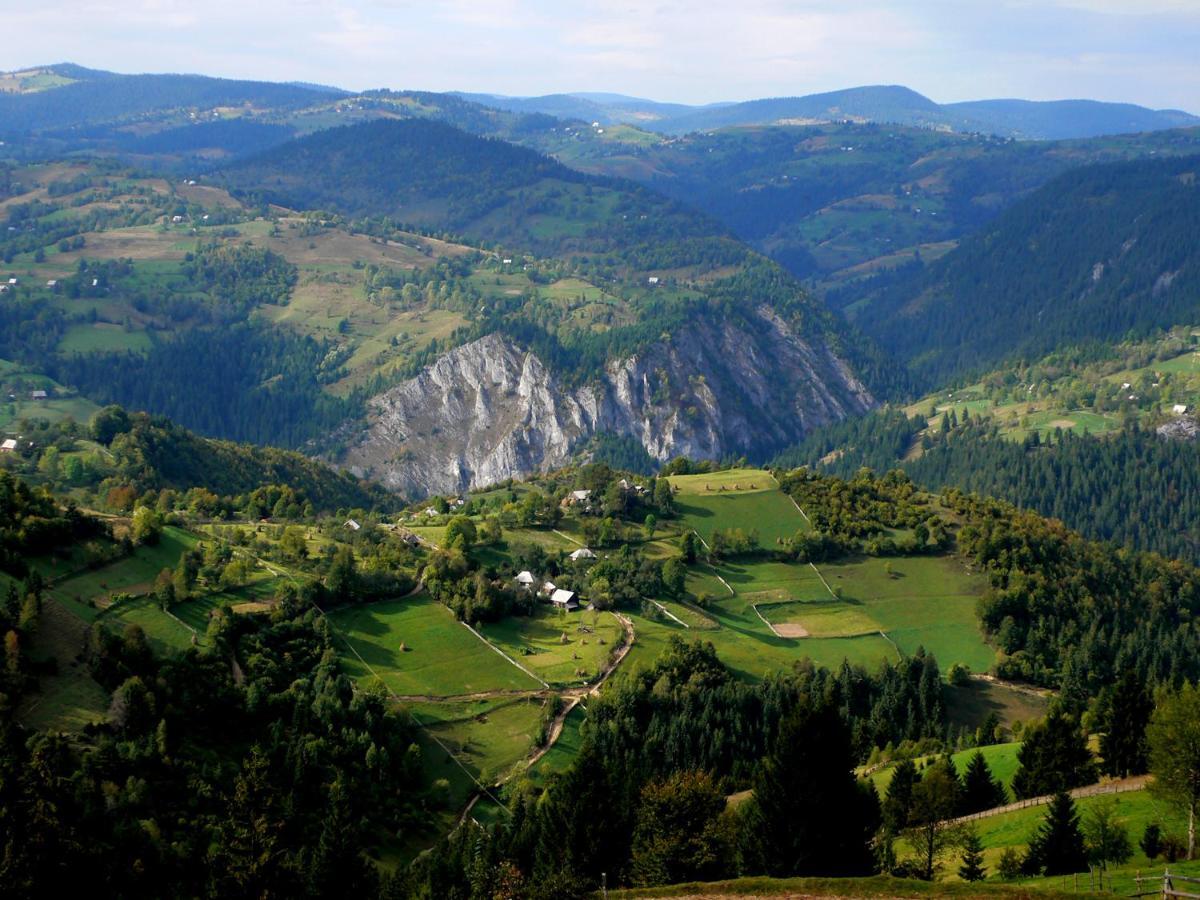 Pensiunea Aurora Albac Buitenkant foto