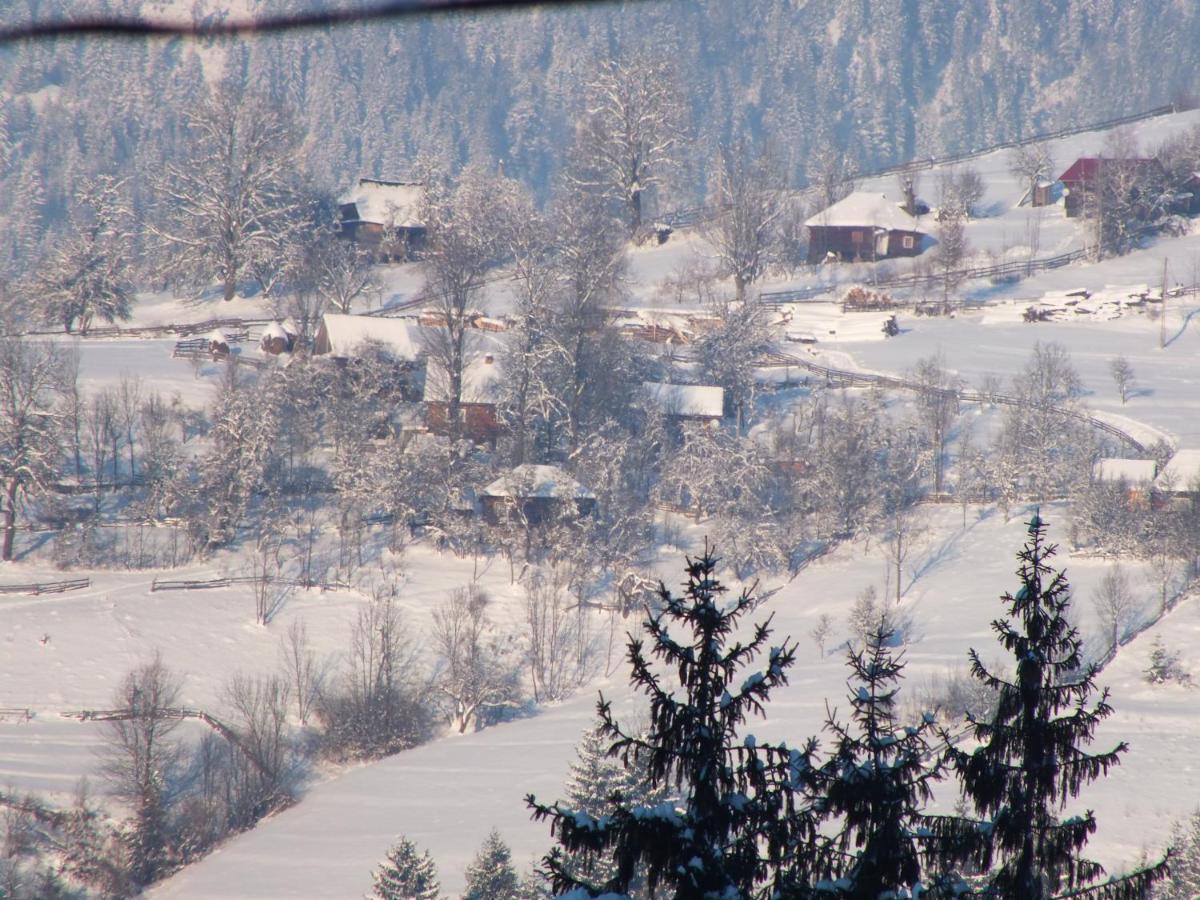 Pensiunea Aurora Albac Hotel Buitenkant foto