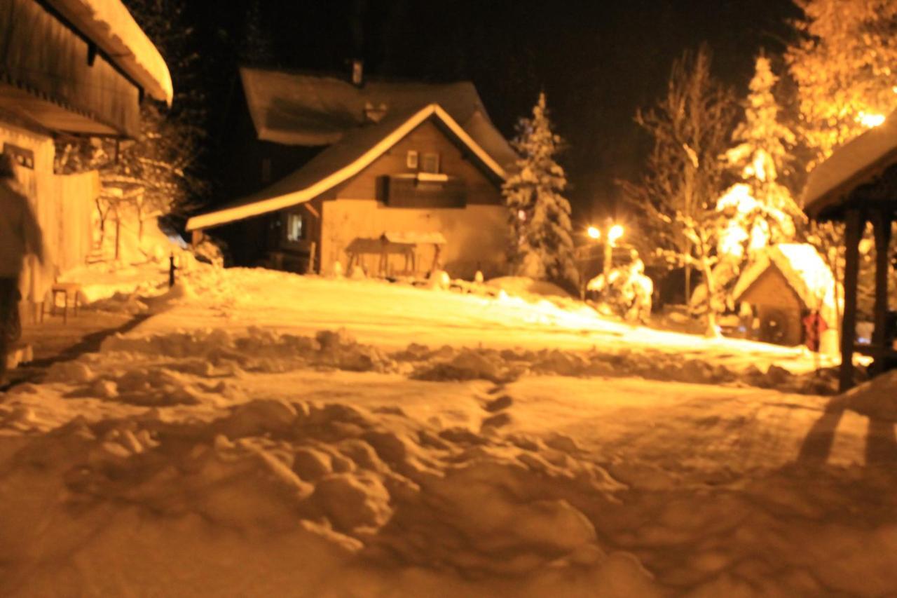 Pensiunea Aurora Albac Buitenkant foto