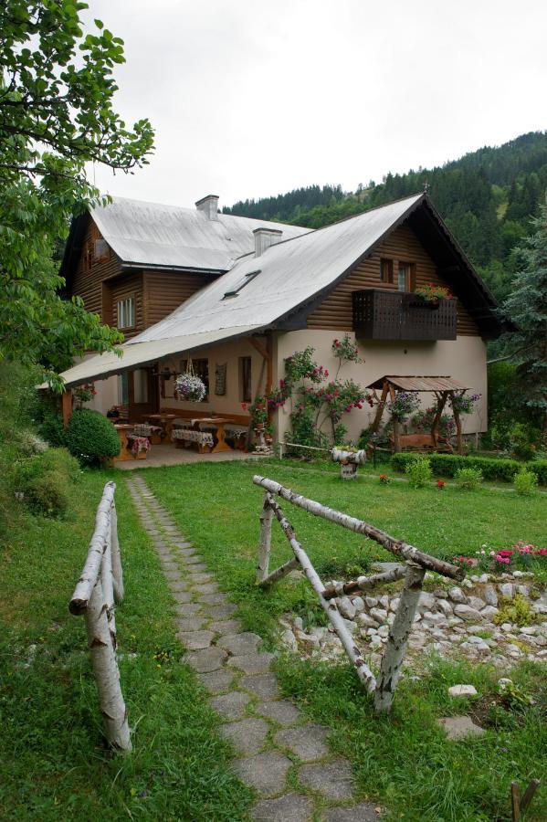 Pensiunea Aurora Albac Buitenkant foto