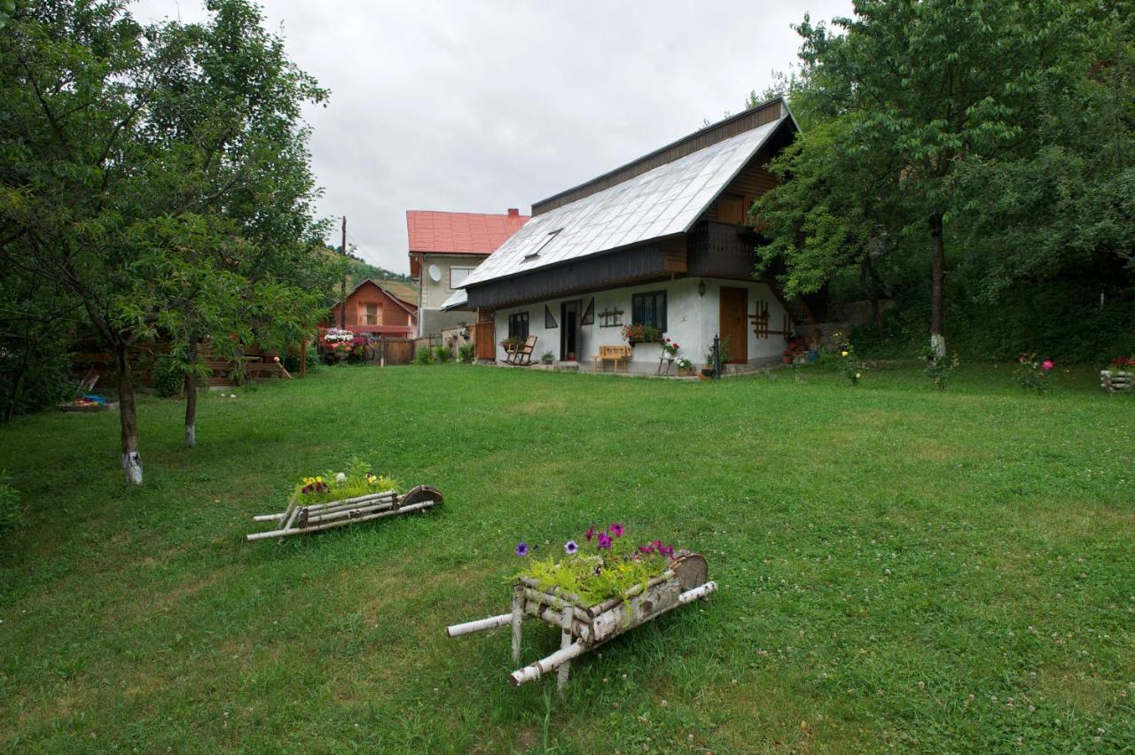 Pensiunea Aurora Albac Buitenkant foto