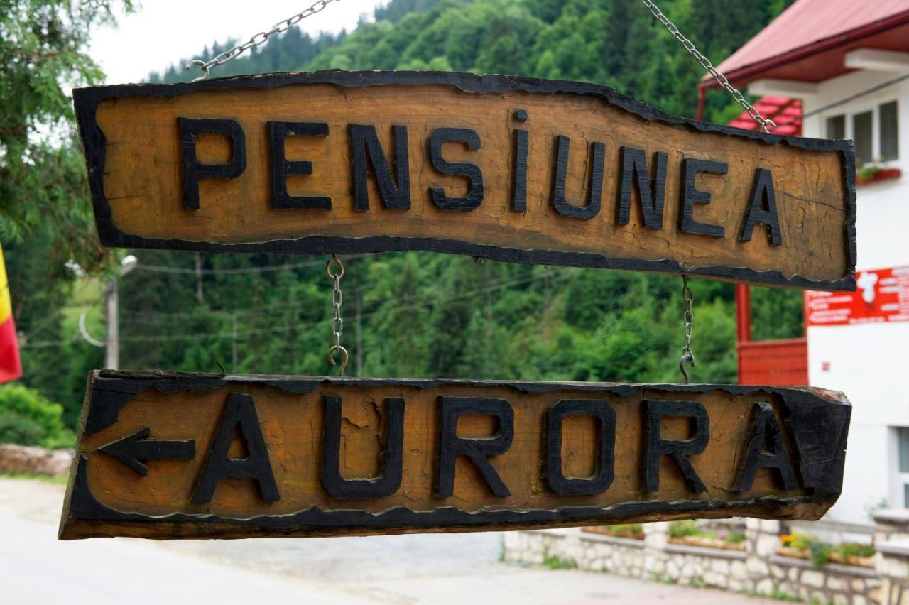 Pensiunea Aurora Albac Buitenkant foto