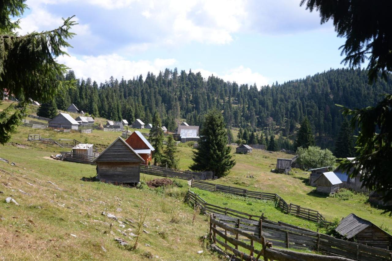 Pensiunea Aurora Albac Buitenkant foto