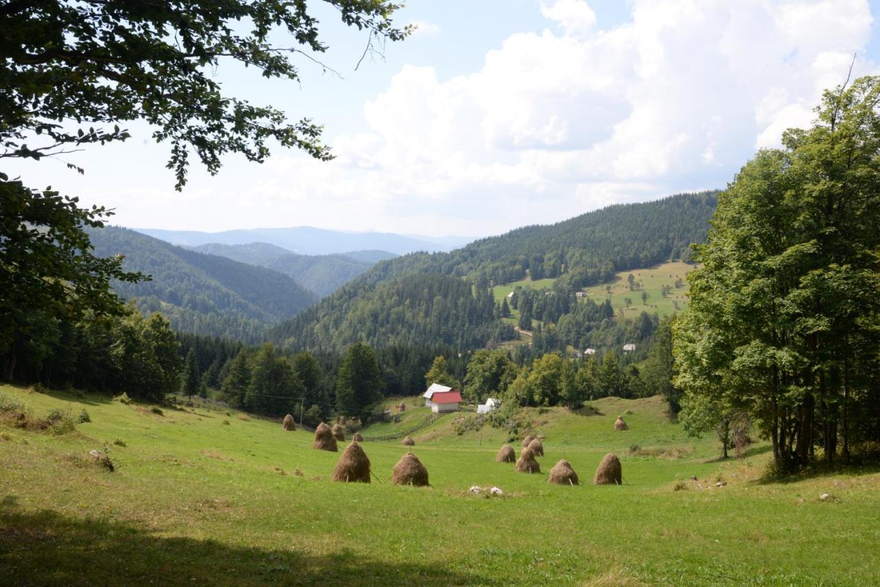 Pensiunea Aurora Albac Hotel Buitenkant foto