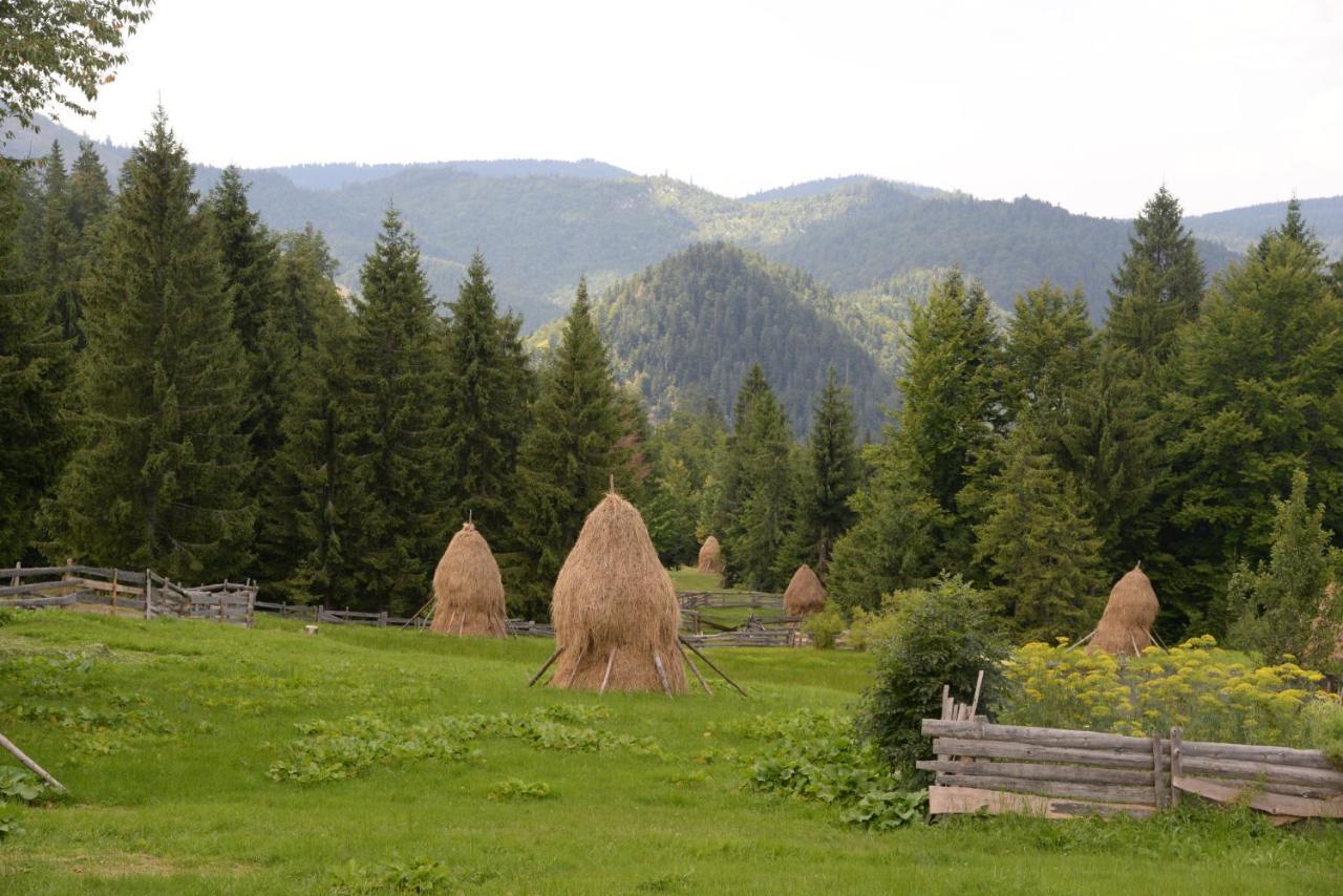 Pensiunea Aurora Albac Buitenkant foto