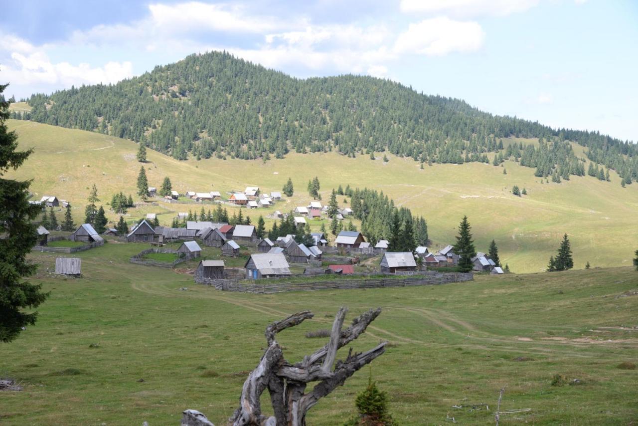 Pensiunea Aurora Albac Buitenkant foto
